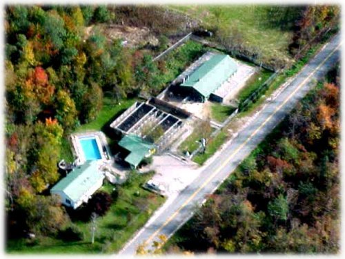 Aerial photo of Munster Abbey Boarding and Breeding Kennels, LLC in Minot, Maine